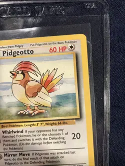 🦅Pidgeotto 022/102 Base Set Regular - Pokemon Tcg Lp Single Card - Image 3