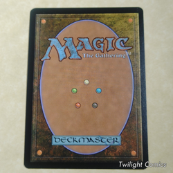 Season's Beatings NMLP -- Happy Holidays 2009 MTG - Image 2