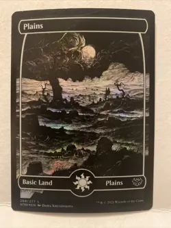 2x MTG Plains Innistrad: Crimson Vow 268 & 269 FOIL Land NM - Image 5