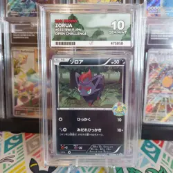 Pop 1! Zorua 033/BW-P Black & White Promo Open Challenge Pokemon Card ACE 10 - Image 1