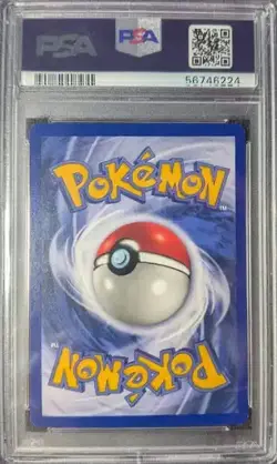 Wartortle 42/102 Base Set Unlimited 1999 Pokemon Game Graded PSA 8 - NM - Image 2