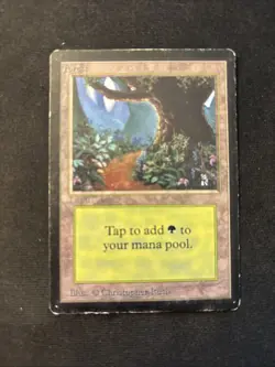 Forest (B) Limited Edition - Beta Edition Regular - Image 1