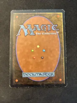 Forest (B) Limited Edition - Beta Edition Regular - Image 2