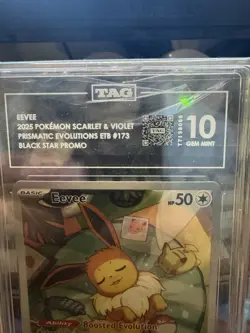 Pokemon TCG Eevee 173/SV-P Scarlet & Violet Promo Holo | TAG 10 Gem Mint - Image 3