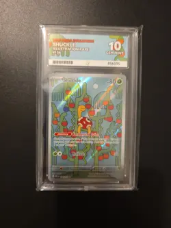 Pokemon Shuckle 136/132 Mega Evolution - Ace 10 Graded - Image 1