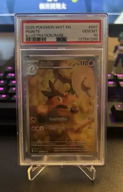 Pokemon PSA 10 Gem Mint White Flare Illustration Rare Pignite 097/086 - Image 1