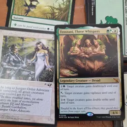 Whole COMMANDER Magic Deck - Heaven to Earth Games = Toxic Poison infect W/G MTG - Image 1