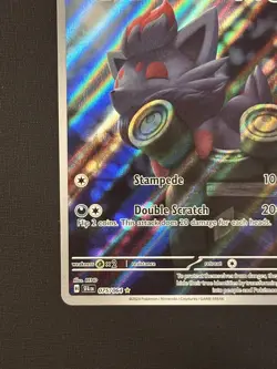 Zorua 075/064 - Shrouded Fable Illustration Rare Pokemon TCG NM+ - Image 5