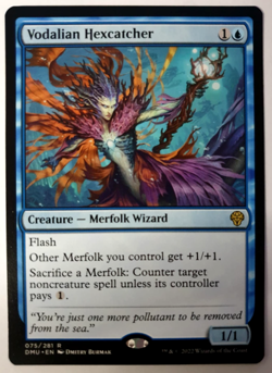Vodalian Hexcatcher - MTG: Dominaria United - Rare - #075 - NM - Image 1