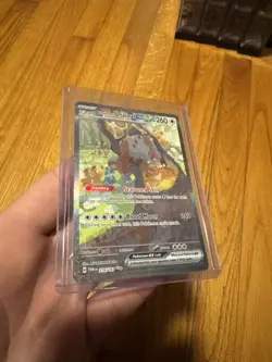 Pokemon TCG Bloodmoon Ursaluna EX Twilight Masquerade Card 216/167 NM Pack Fresh - Image 3