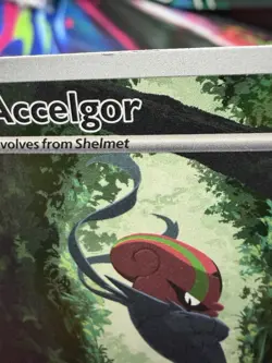 Pokemon Accelgor 094/086 Sv: White Flare Illustration Rare Holo 100 HP 2025 - Image 2