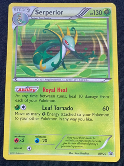 Pokemon TCG Serperior BW20 Black Star Promo Holo LP - Image 1