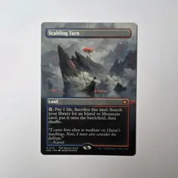 Scalding Tarn - Borderless Full Art - TDM Special Guest- MtG - Image 1
