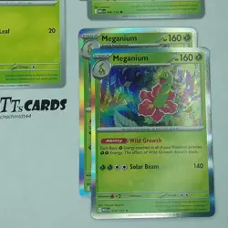 4x Chikorita 008 2x Bayleef 009 2x Meganium 010 Pokemon Mega Evolution Playset - Image 4