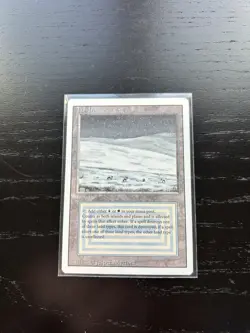 MTG TUNDRA Revised 013-236 AUTHENTIC - Image 1