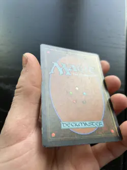 MTG TUNDRA Revised 013-236 AUTHENTIC - Image 2