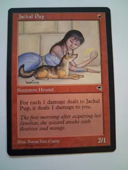 Jackal Pup MP / HP MTG Magic the Gathering Tempest - Image 1