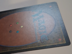 Jackal Pup MP / HP MTG Magic the Gathering Tempest - Image 5