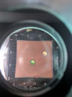 Wistfulness Borderless NM Non-Foil M 0296 ECL Magic The Gathering - Image 5