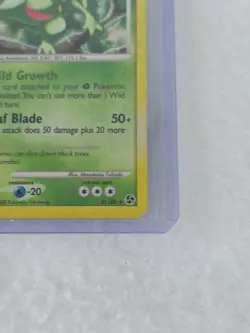 💥 Sceptile - 8/106 - Pokemon card Great Encounters Holo Rare TCG Vintage 2008 - Image 3