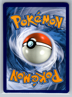 Charizard VSTAR SWSH262 SWSH: Sword & Shield Black Star Promo Card Holo NM - Image 2