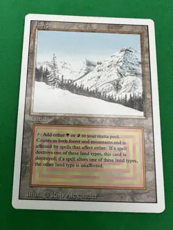 Taiga - Magic The Gathering Revised - Image 1