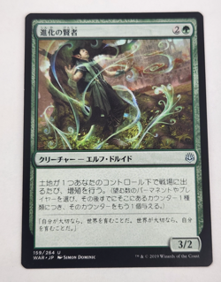 Evolution Sage - Japanese - War of the Spark - Magic the Gathering MTG - LP - Image 1
