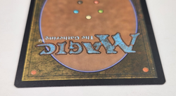 Evolution Sage - Japanese - War of the Spark - Magic the Gathering MTG - LP - Image 4