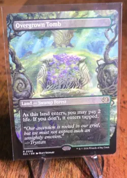 Overgrown Tomb (Borderless) Lorwyn Eclipsed Regular - Image 1