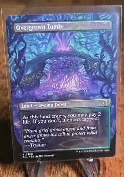 Overgrown Tomb (Borderless) Lorwyn Eclipsed Regular - Image 2
