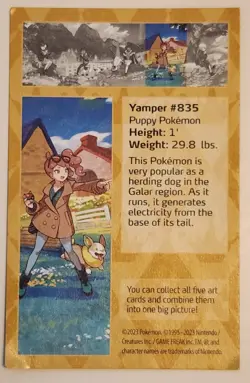 Pokemon Crown Zenith Sonia and Yamper EMPTY Mini Tin ONLY - Image 4