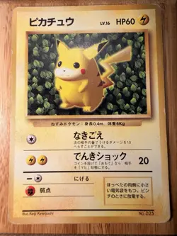Japanese - Promo - Ivy Pikachu No.025 - Pokemon Card - Non Glossy - Image 1