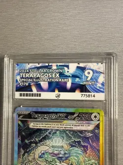 Terapagos ex 170/142 Special Illustration Rare Stellar Crown Pokemon Ace 9 TCG - Image 3