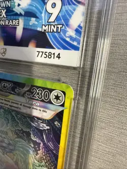 Terapagos ex 170/142 Special Illustration Rare Stellar Crown Pokemon Ace 9 TCG - Image 5