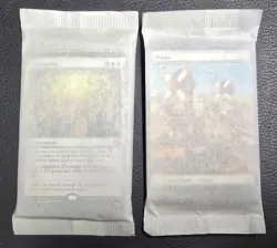 Lorwyn Eclipsed Bundle Lands - Traditional And Full Art Lands W/ Some Foils Land - Image 1
