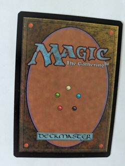 Time Warp Tempest MTG NM Free shipping with tracking - Image 2