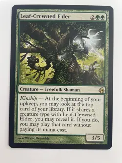 Leaf-Crowned Elder Morningtide Regular - Image 1