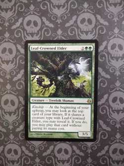 Leaf-Crowned Elder Morningtide Regular - Image 1