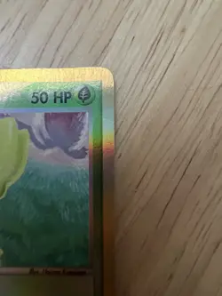 Pokemon Treecko 80/97 Ex Dragon Reverse Holo MP - Image 3