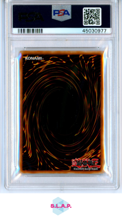 GAMMA/MGNT.WARRIOR DUELISTS OF THE ROSES YU-GI-OH! PROMO 2003 003 PSA 9 - Image 2