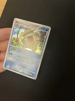 Ludicolo DPBP#322 MINT/NM Japanese Pokemon Cards Holo Rare Vintage - Image 3