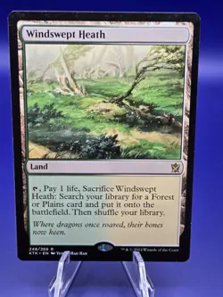 MTG Windswept Heath - Khans of Tarkir Regular Lightly Played - Image 3