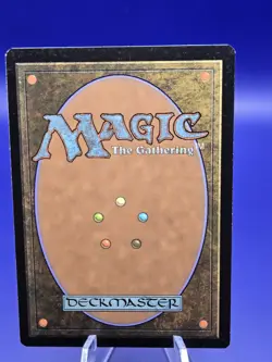 MTG Windswept Heath - Khans of Tarkir Regular Lightly Played - Image 4