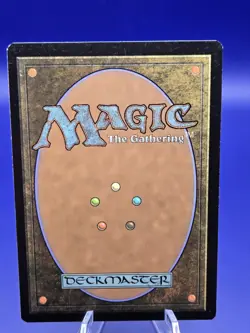 MTG Windswept Heath - Khans of Tarkir Regular Lightly Played - Image 5