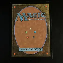 Wizards Meticulous Archive Murders at Karlov Manor Land Rare Regular 264 - Image 2