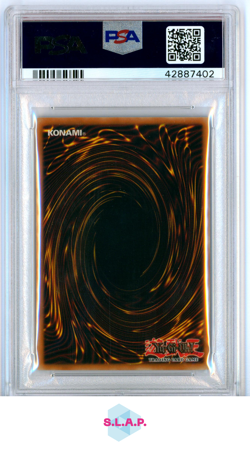 PALADIN/WHITE DRAGON MAGICIAN'S FORCE-1ST ED. 2003 YU-GI-OH! MFC-MAG 026 PSA 8 - Image 2