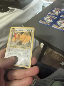 Pokemon TCG mixed Spearow/ Fearow Lot. Japanese - Image 5