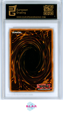 DARK MAGICIAN GIRL YU-GI-OH RDS-ENSE2 2005 RISE OF DESTINY ENGLISH LIM ED EG 8.5 - Image 2
