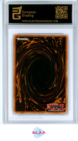 DRAGON BLANCO DE OJOS AZULES YUGIOH SP001 2010 DPKB 1ST EDITION SPANISH EG 6.5 - Image 2