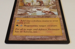 MTG Yavimaya Hollow Urza's Destiny Regular 1999 NM - Image 2